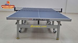 Dụng cụ bóng bàn Double Fish: Vì sao thương hiệu được ưa chuộng?