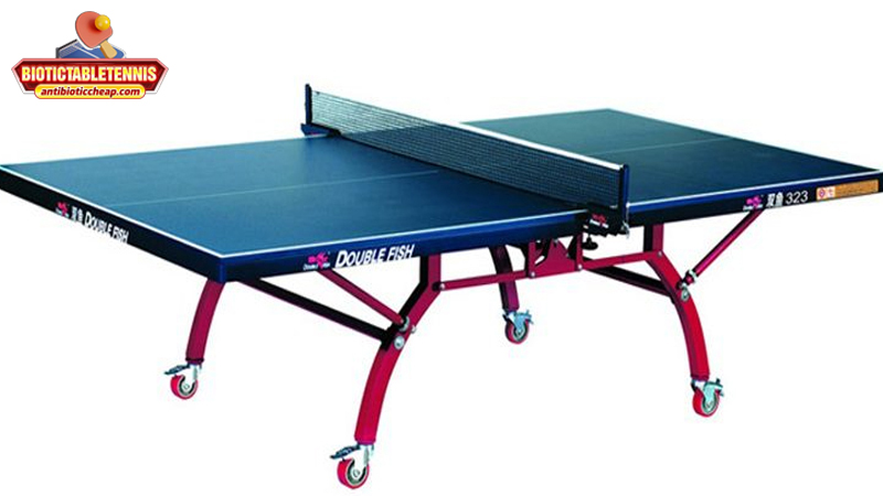 Trải nghiệm và lời khuyên từ BioticTableTennis