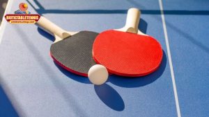 Liên hệ BioticTableTennis - Trang tin tức về môn Bóng Bàn: Lưu ý quan trọng