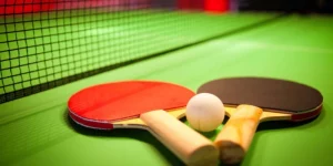 Dụng Cụ Bóng Bàn BioticTableTennis