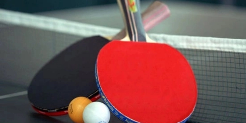Dụng Cụ Bóng Bàn BioticTableTennis