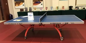 Dụng Cụ Bóng Bàn Song Ngư