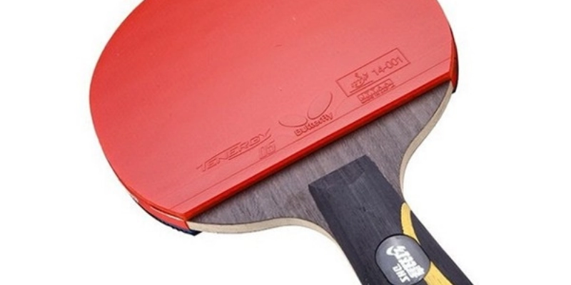Vợt DHS 3002