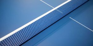 Bàn bóng bàn Double Fish