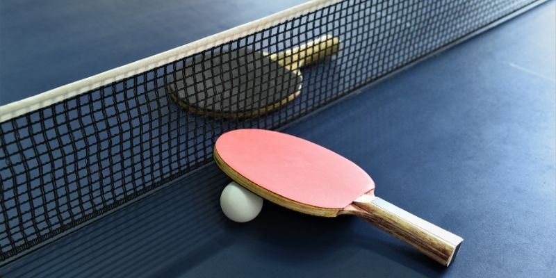 Dụng Cụ Bóng Bàn Vinasport