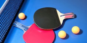 Dụng Cụ Bóng Bàn Vinasport